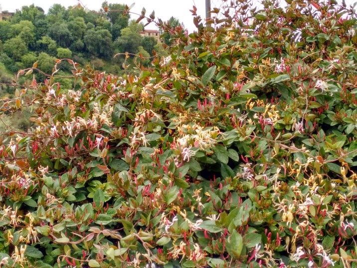 IMG_20160507_130942475_HDR