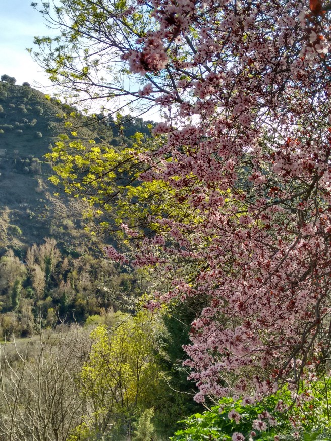 IMG_20180329_182628227_HDR